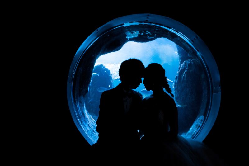 シンボリックな丸窓