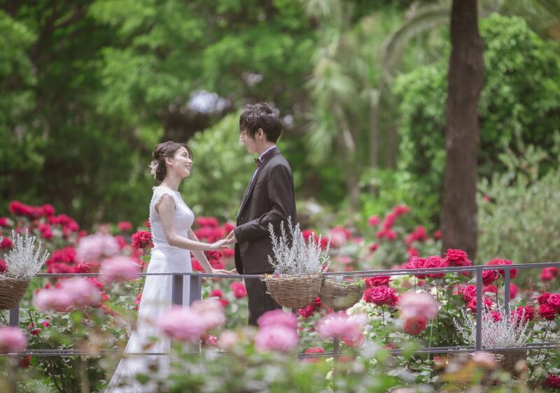 薔薇に囲まれた撮影