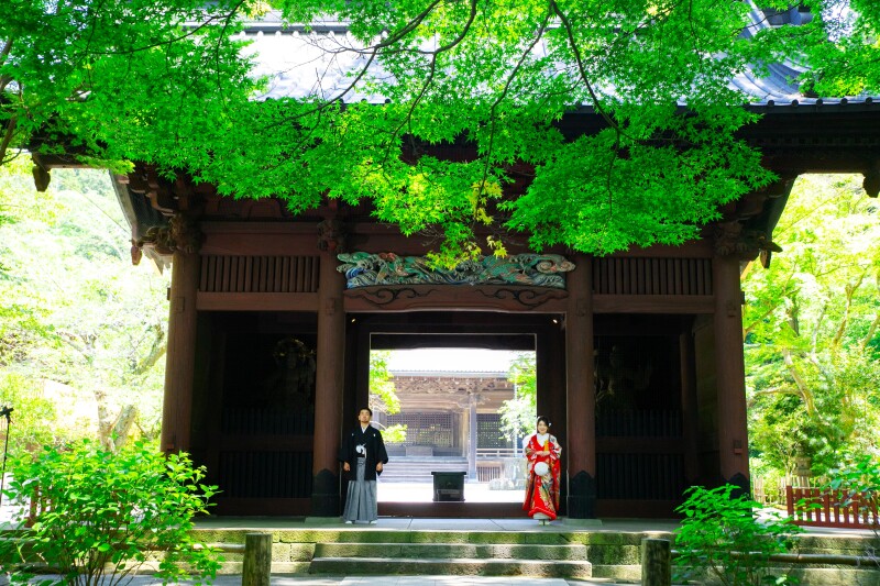 鎌倉エリアの妙本寺の和装