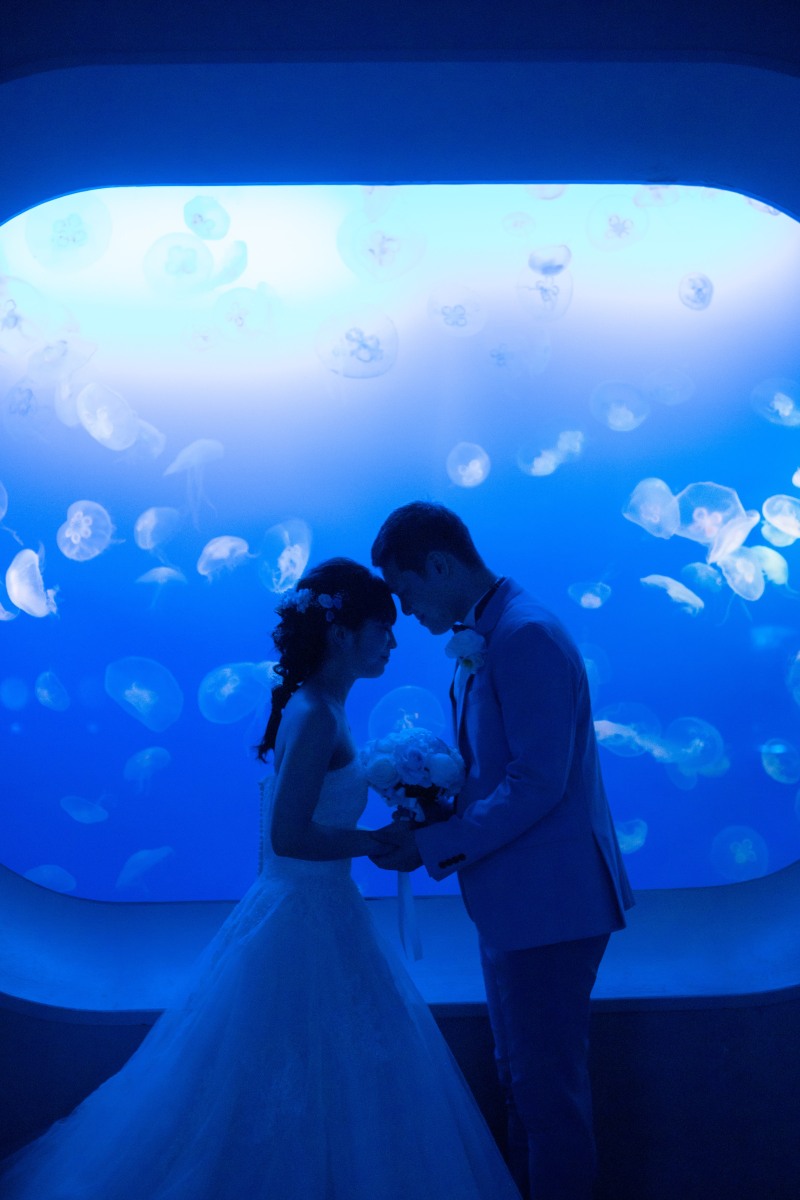 幻想的なシーン