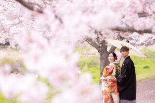 桜が舞い散るフォトウェディング