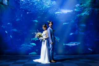 新江ノ島水族館のフォトウェディング