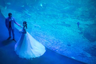 水族館＋ビーチ撮影レポ