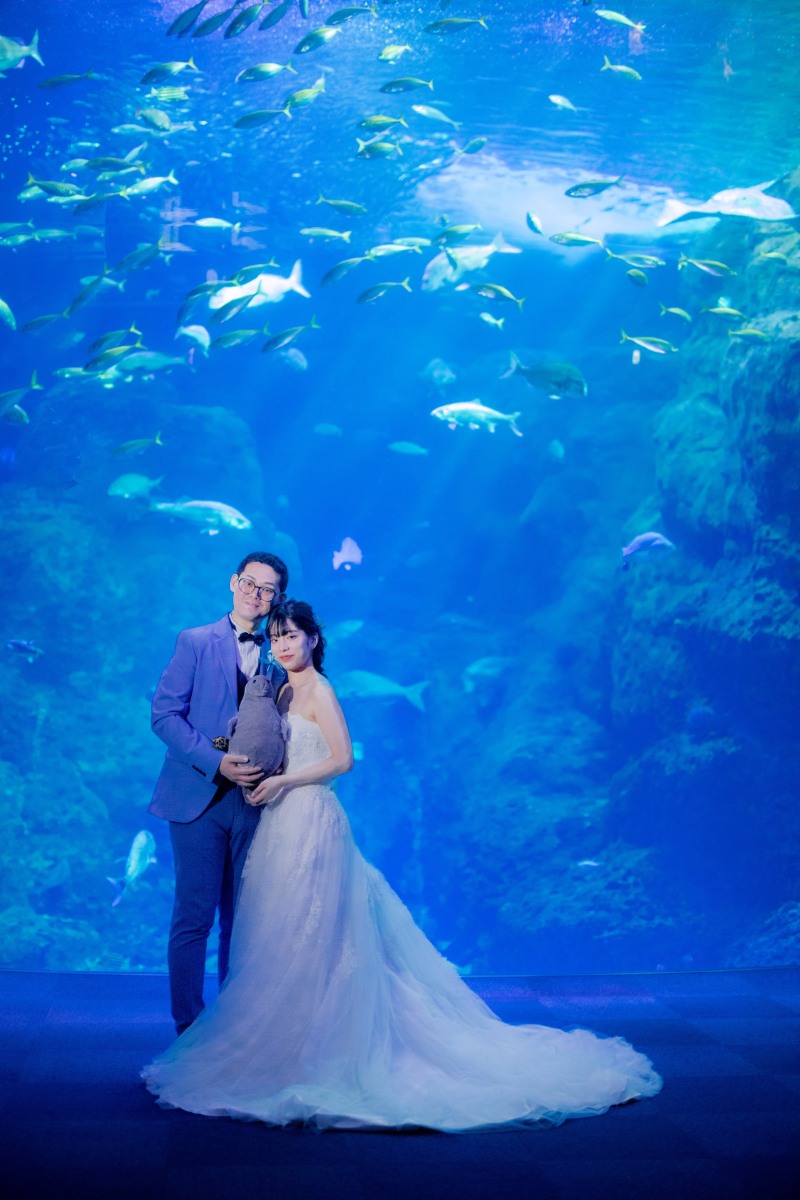 メインは大水槽