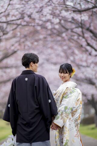 2025年春　桜の前撮り