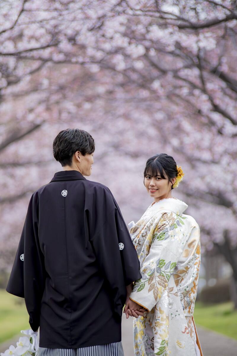 2025年春　桜の前撮り