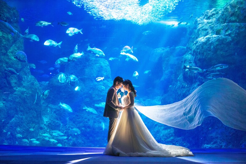 5時になったら、水族館へ