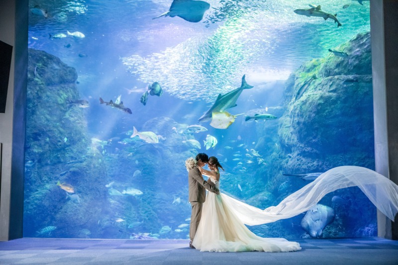 サンセット後は水族館の撮影へ