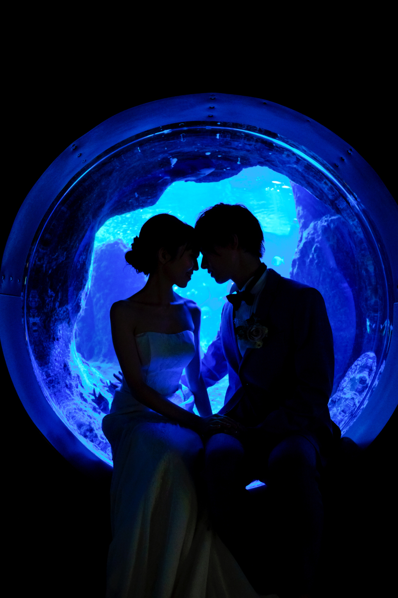 幻想的な水族館フォトウェディング