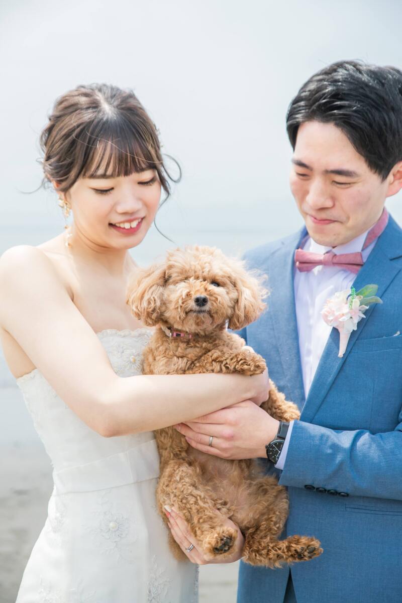 大切な家族も一緒に