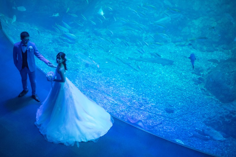 エスコートシーン