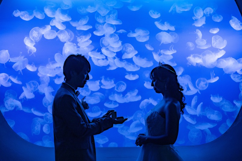 新江ノ島水族館のシンボル