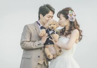 ペット撮影について