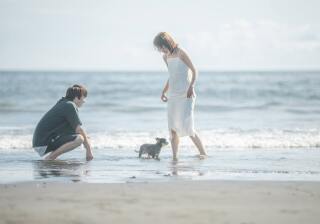 ペットとの撮影