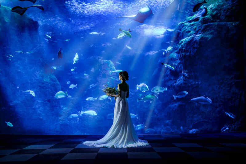 高度なライティング技術とレタッチ加工で1枚のアート作品に仕上げます