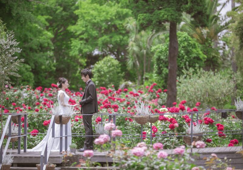 サムエルコッキング & 海ロケ撮影 | ドレス 1着プラン 【120カットデータ・レタッチ付】