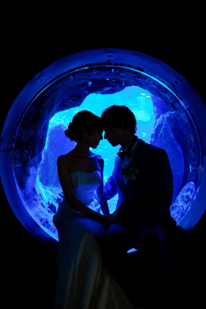 新江ノ島水族館 & 海ロケ | フォトウェディング撮影