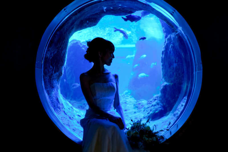 新江ノ島水族館フォトウェディング