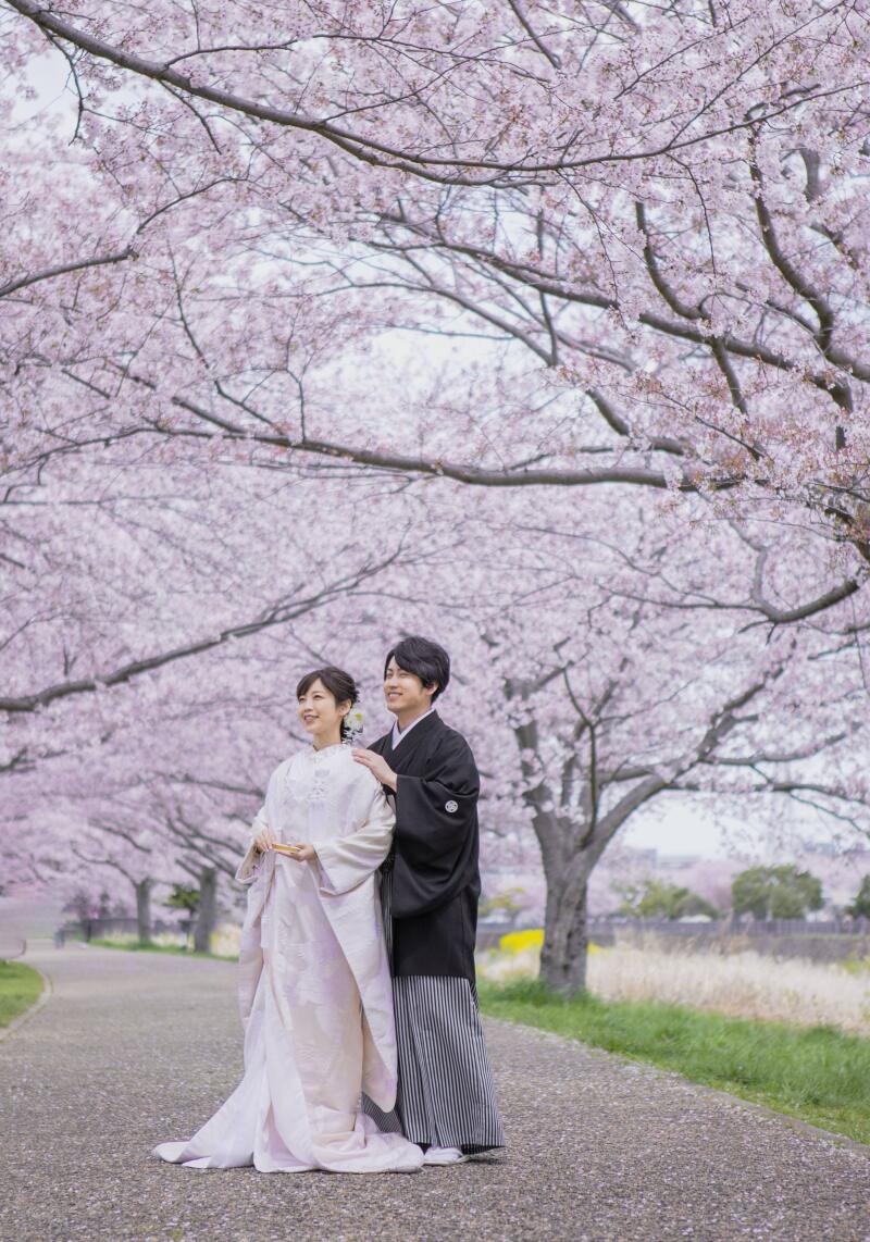 【平日限定　桜ライトプラン】桜の前撮り撮影 | 和装1着プラン 【80カットデータ】