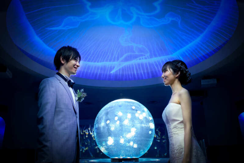 新江ノ島水族館フォトウェディング