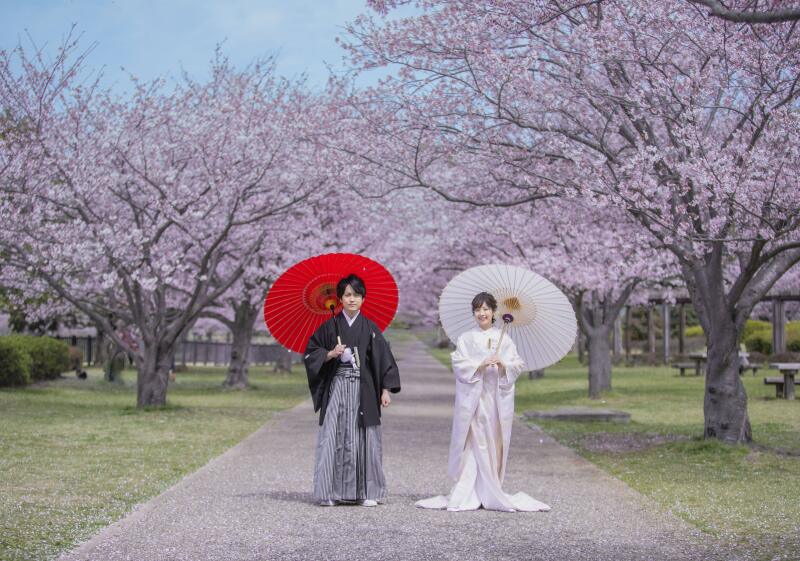 【平日限定　桜ライトプラン】桜の前撮り撮影 | 和装1着プラン 【80カットデータ】