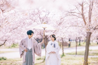 ♢桜のロケーション♢