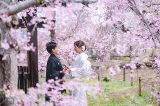 ♢桜ロケーション撮影♢