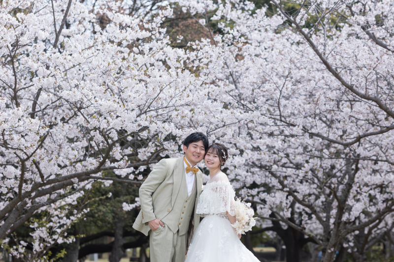 ドレス×桜