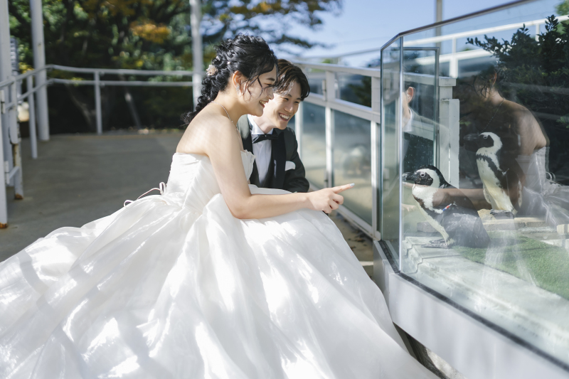 ペンギンと一緒に♡