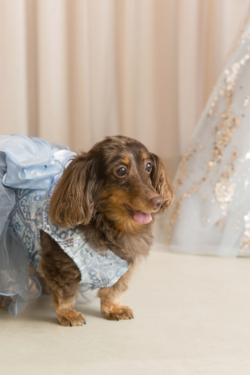 ココちゃんのソロショットも♡