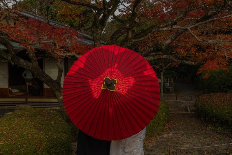 シルエット撮影