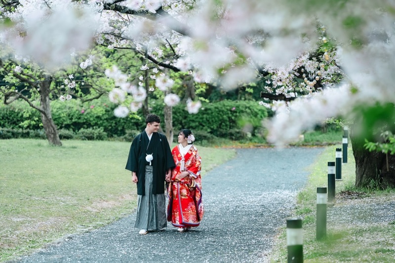 桜の中をお散歩