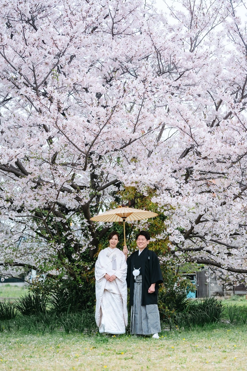 桜の木の下で