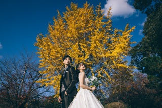 Photo Maison écrin 福岡店_和装ロケ【舞鶴公園】
