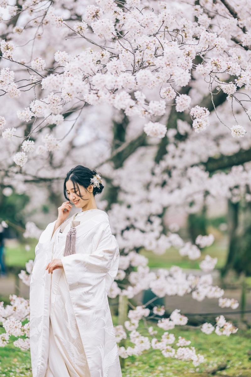 20以上ある撮影シーン