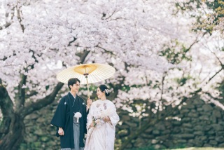 【舞鶴公園】桜ロケーション撮影プラン - 1着＆100カットデータ