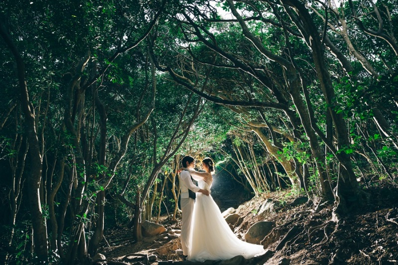 1月末までの撮影のお客様限定【トトロの森】洋装ロケーション撮影プラン - ドレス1着&全カットデータ付(100カット)