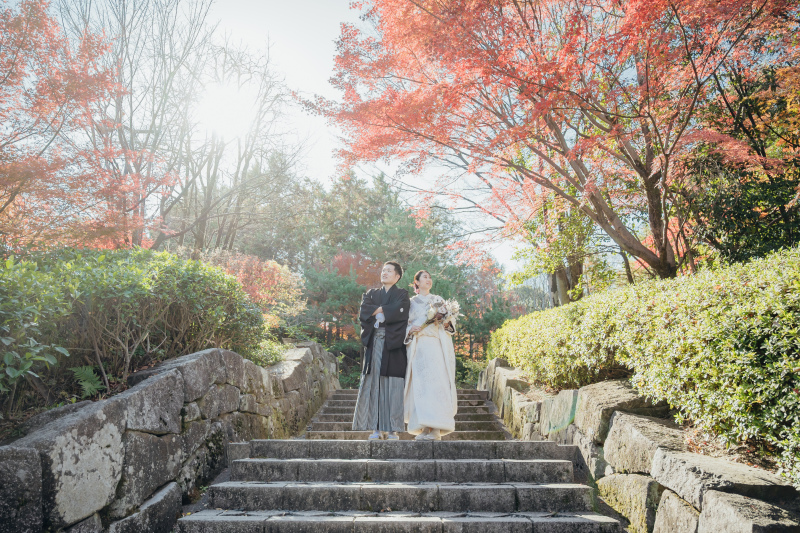 色鮮やかな紅葉