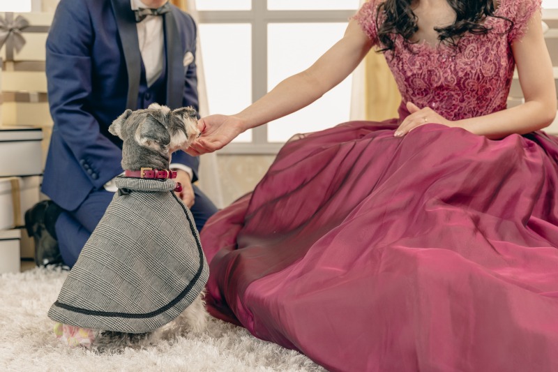 いろんな芸も見せてくれました!