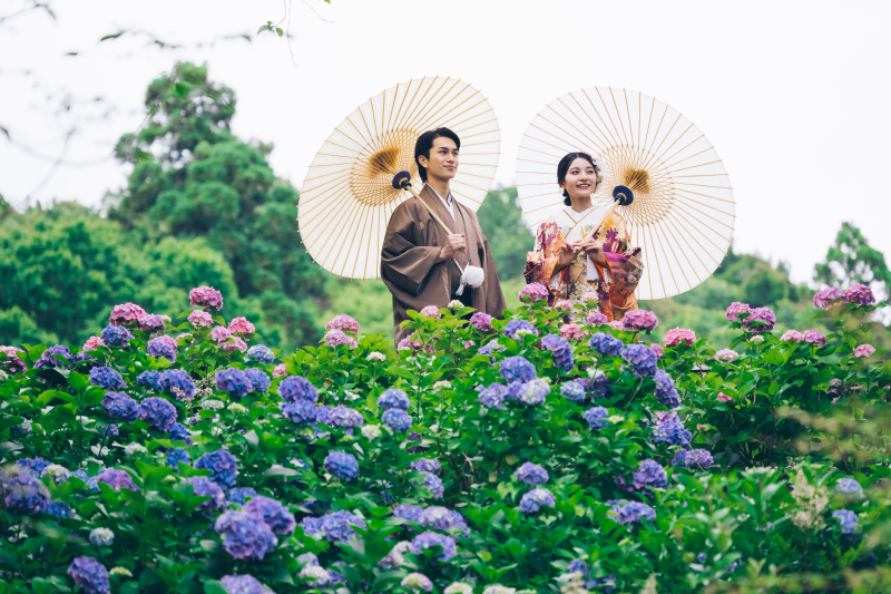 紫陽花に囲まれて！