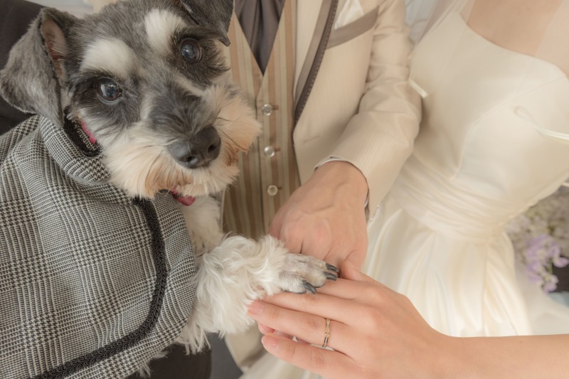 「ワタシ、こんなこともできるよ!」