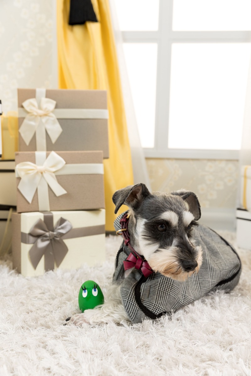 たまごちゃんと一緒に