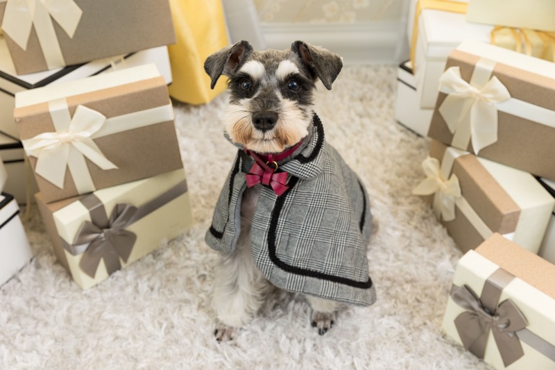 パパとママを待っている間に・・・