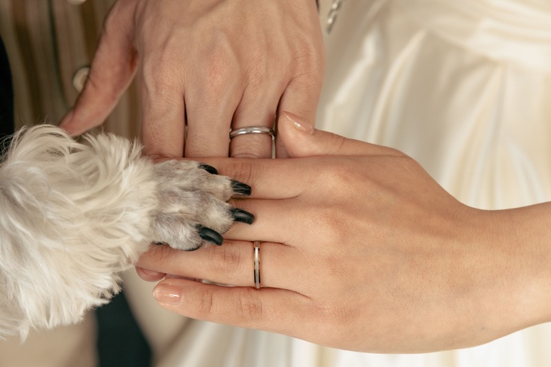 そして、撮れたお写真がこちら