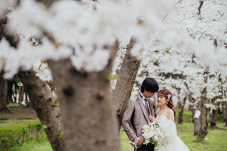 【庄内緑地公園】桜洋装ロケーション撮影