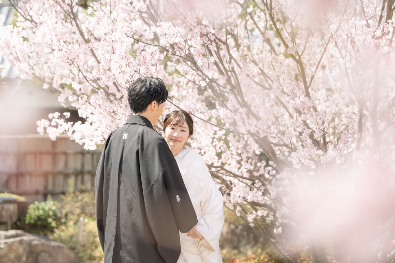 桜に包まれながら…