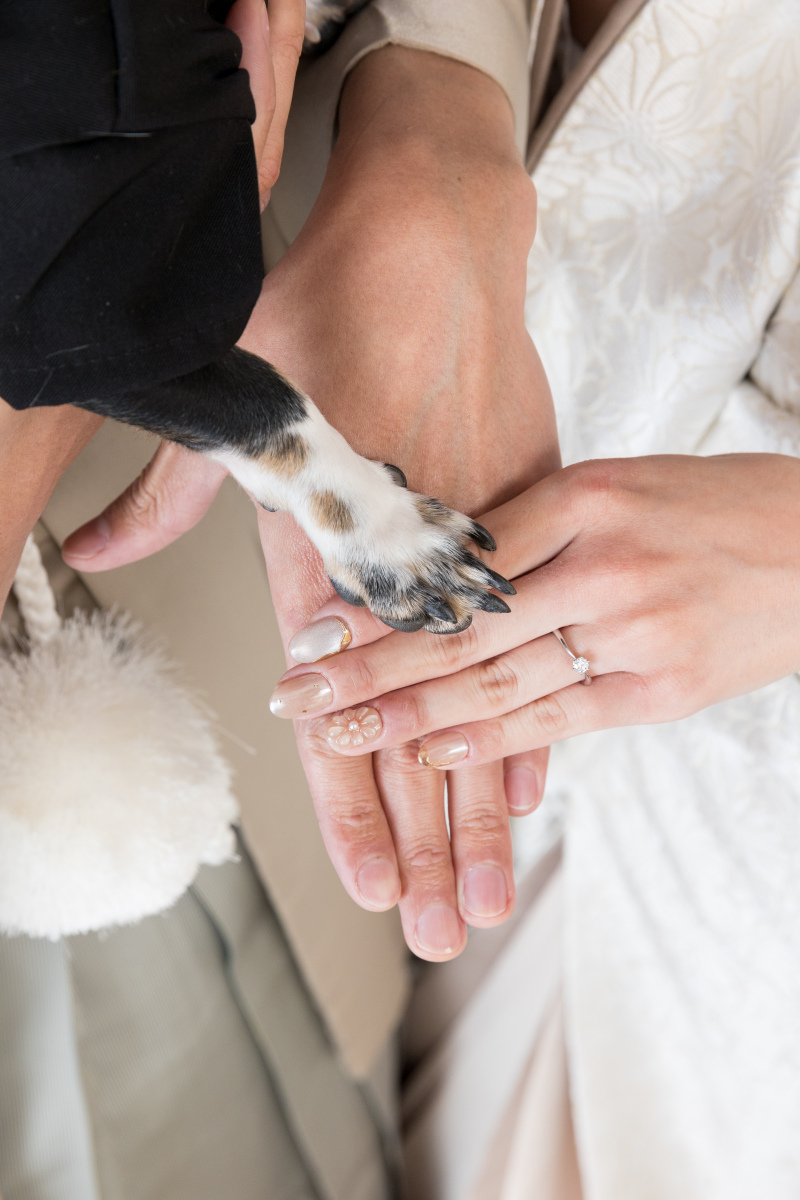 みんなでお手元ショット