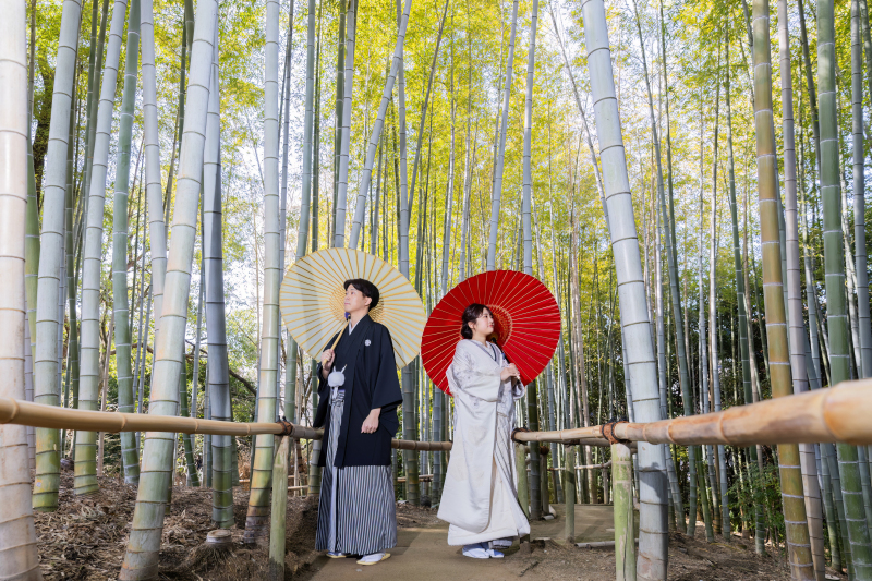 自然に囲まれて