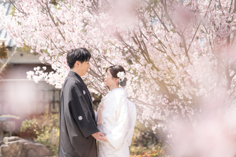 桜ロケーションin徳川園