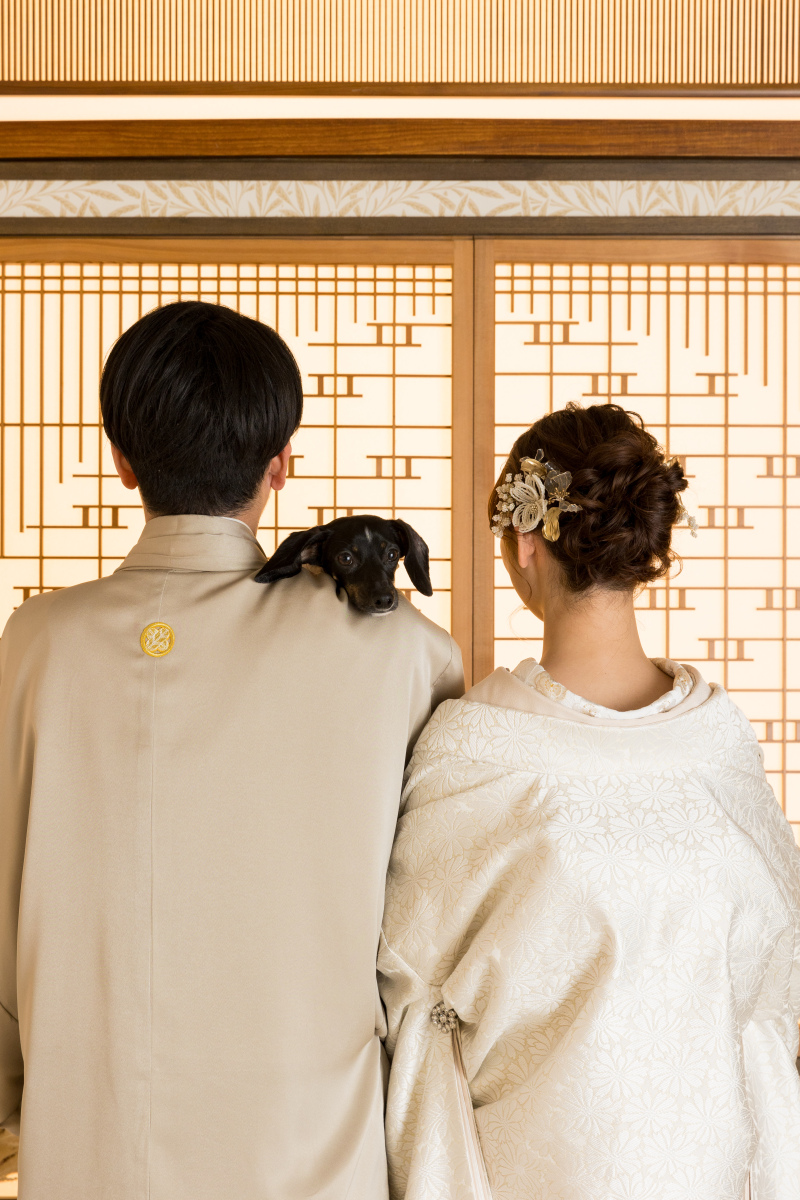 お顔をぴょこっと